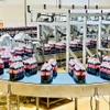 Ngành chế biến-chế tạo tiếp tục là động lực tăng trưởng chính khi tăng 11,5%, đóng góp tới 8,9 phần trăm vào mức tăng chung. (Ảnh: Vietnam+)
