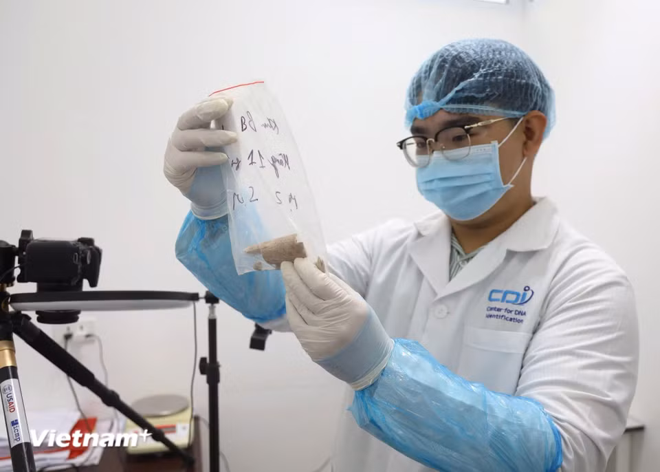 Ít ai biết rằng phía sau những kết quả giám định ADN là biết bao giờ làm việc trong phòng thí nghiệm và cả những trăn trở của các nhà khoa học trước từng mẫu hài cốt chưa xác định được danh tính. Với họ, thành công của một ca giám định không chỉ được đo bằng độ chính xác của kết quả, mà còn bằng niềm vui khi một gia đình có thể gọi đúng tên người thân sau nhiều năm chờ đợi. Trong sự lặng lẽ của phòng Lab, khoa học đang góp phần nối lại những ký ức còn dang dở, để hành trình tri ân các anh hùng liệt sĩ được tiếp tục bằng tri thức, trách nhiệm và lòng nhân văn. (Ảnh: Dương Linh/Vietnam+) ​ ​ ​ ​ ​