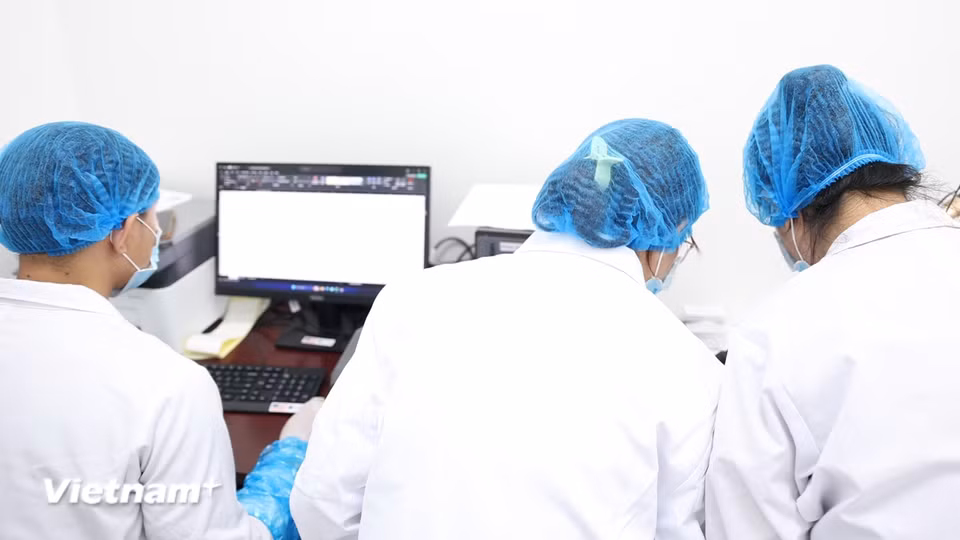 Sau khi hoàn tất quá trình phân tích, dữ liệu ADN được xử lý và đối sánh bằng phần mềm chuyên dụng để phục vụ công tác giám định. (Ảnh: Dương Linh/Vietnam+)