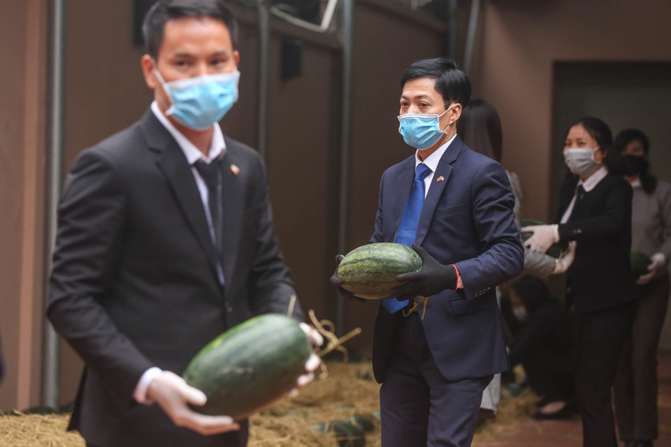 Chính vì vậy, Đại sứ quán đã quyết định sẽ ủng hộ bà con nông dân bằng cách mua 2 tấn dưa hấu từ Bắc Giang về, sau đó phát miễn phí cho người dân. (Ảnh: Minh Sơn/Vietnam+)