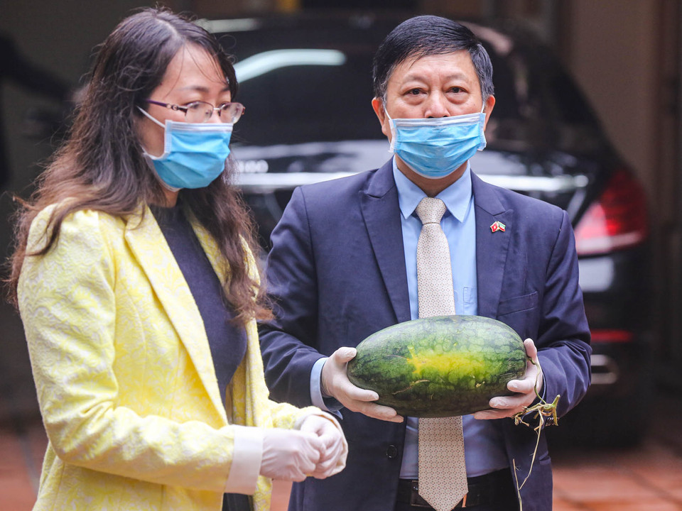 Đại sứ quán Kuwait đã huy động gần 20 nhân viên, cán bộ để phát dưa cho người dân. (Ảnh: Minh Sơn/Vietnam+)