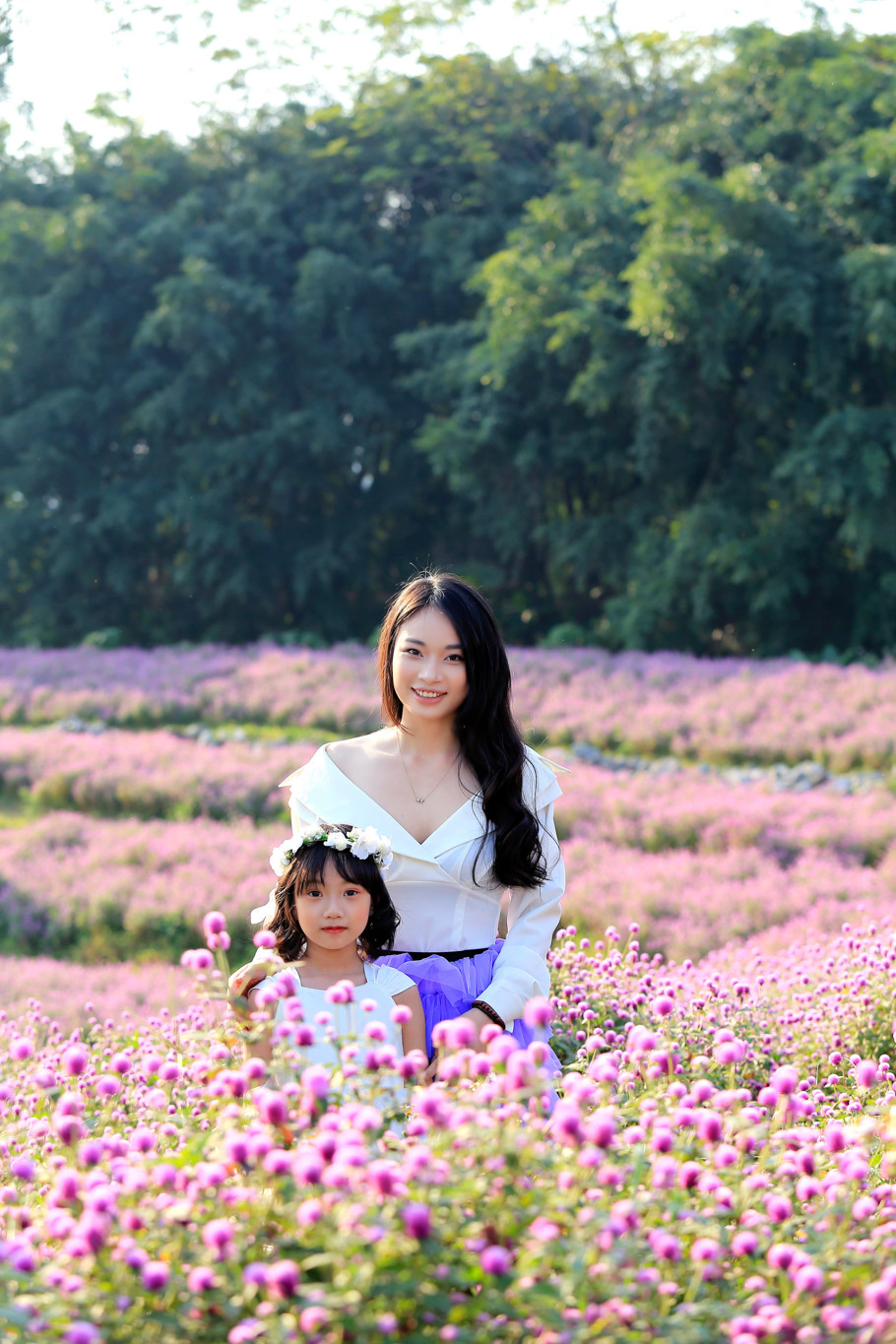 Thêm vào đó, hoa bách nhật còn mang lại cho người trồng những không gian đầy thẩm mỹ. (Ảnh: PV/Vietnam+)