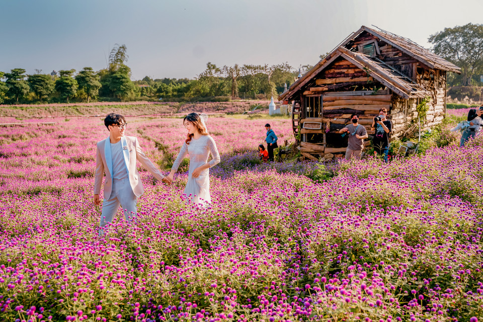 Giới trẻ Hà Nội thích thú chụp ảnh tại thung lũng hoa lần đầu xuất hiện tại Thủ đô. (Ảnh: PV/Vietnam+)