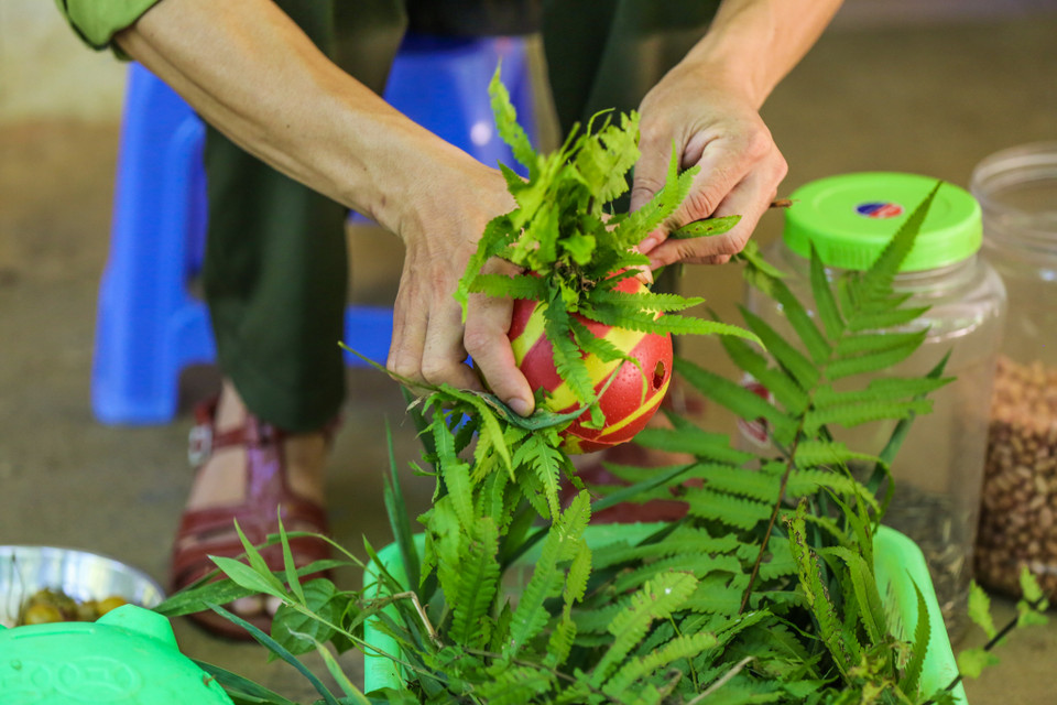 Anh Phương cho biết những loài linh trưởng ở đây được cho ăn theo một cách rất đặc biệt. Đồ ăn được để vào những quả bóng, hốc cây để loài linh trưởng học cách tìm được đồ ăn. (Ảnh: Minh Sơn/Vietnam+)