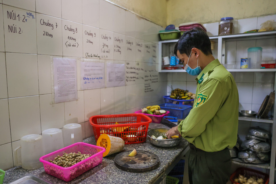 Trước 8 giờ mỗi ngày, các nhân viên thú y phải dậy sớm chuẩn bị đồ ăn cho các loài linh trưởng. Thực đơn và khẩu phần được ghi rõ và đầy đủ. 