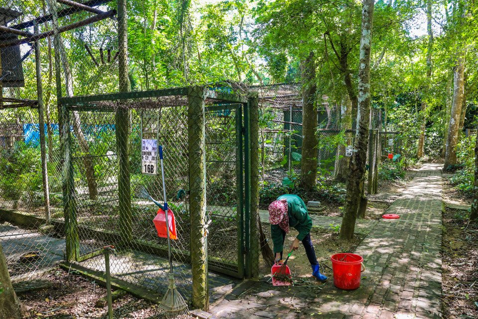 Sau bữa ăn, các nhân viên lại đi đến từng khu chăm sóc kiểm tra tình hình sức khỏe của động vật, làm vệ sinh sạch sẽ để bảo đảm môi trường sống cho các loài thú. (Ảnh: Minh Sơn/Vietnam+)