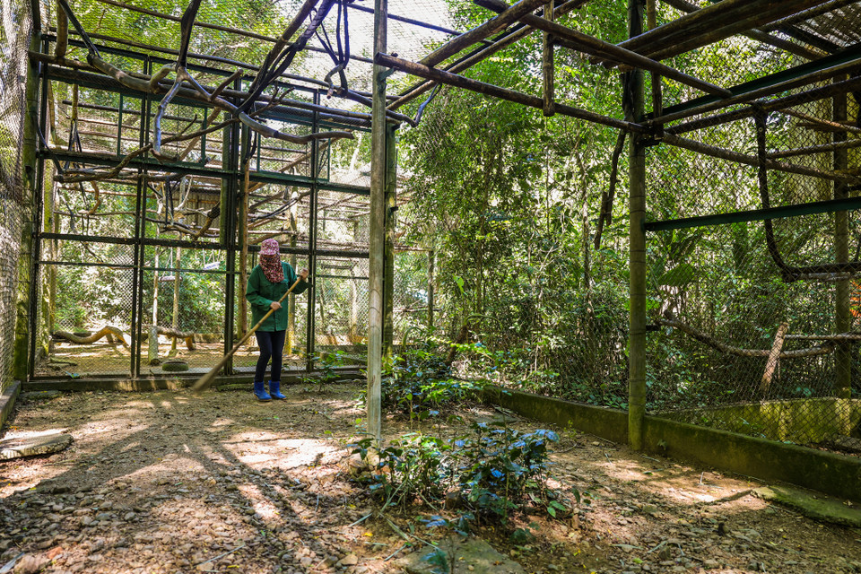 Thường thì công việc kết thúc vào lúc 18 giờ, nhưng có nhiều hôm các các bộ nhân viên phải thức trắng đêm để chăm sóc các cá thể bị bệnh. (Ảnh: Minh Sơn/Vietnam+)