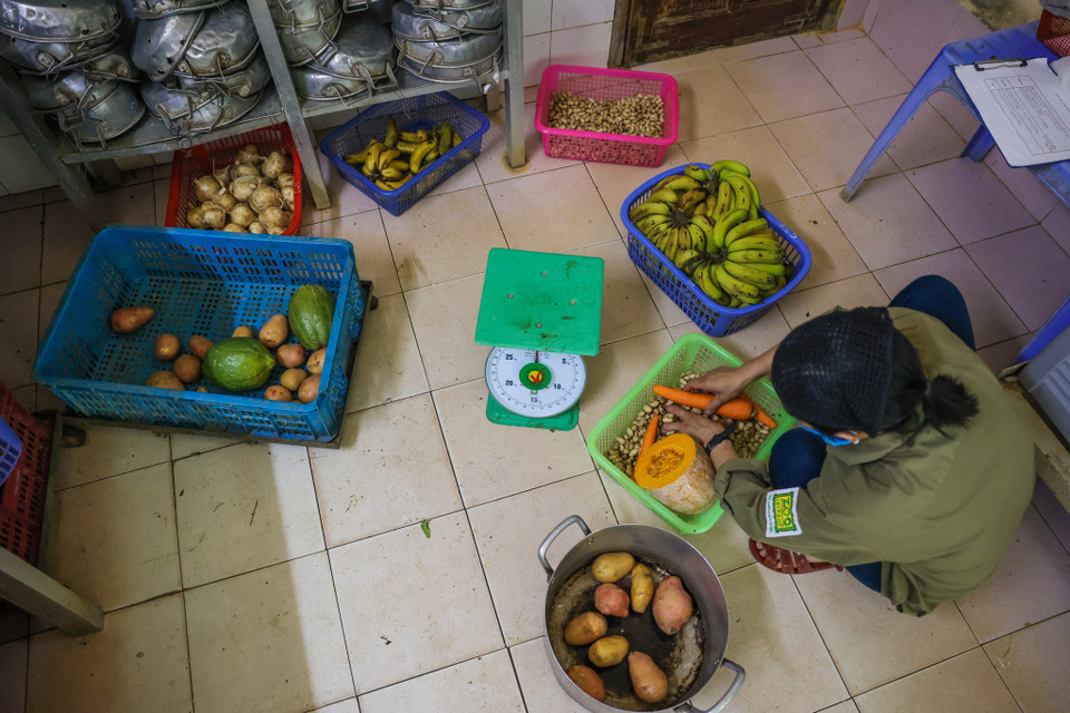 Mỗi ngày, số linh trưởng ở đây ăn từ 300-400 kg lá, thuộc hơn 100 loài cây. Nguồn thức ăn này được lấy từ khu vực rừng trồng và khu phục hồi sinh thái. Vườn thực vật, vườn ươm với hơn 360 loài, là nơi bảo tồn các nguồn gen thực vật quý hiếm của rừng Cúc Phương và Việt Nam. (Ảnh: Minh Sơn/Vietnam+)h