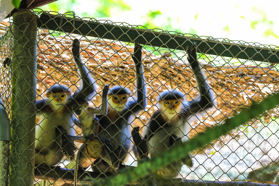 'Bao năm qua, cứ mỗi sáng sớm thức dậy, nhìn các bạn ấy vui chơi, phát triển khỏe mạnh là bao nhiêu lo âu, mệt mỏi trong người tan biến hết,' anh Khoa chia sẻ. (Ảnh: Minh Sơn/Vietnam+)