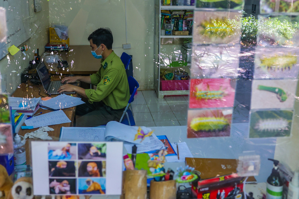 Nếu không có tình yêu thiên nhiên thực sự, những cán bộ ở đây không thể tận tụy với công việc đồng thời góp phần bảo tồn những loài thú quý hiếm, đưa chúng trở về với cuộc sống tự nhiên vốn có. (Ảnh: Minh Sơn/Vietnam+)