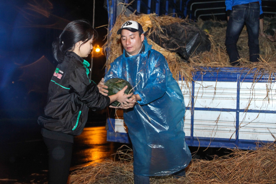 Một nhóm từ thiện tại Quảng Nam cho biết trong tổng số gần 2.000 tấn dưa tồn đọng, khoảng 500 tấn bị ngập nước cần được tiêu thụ ngay trong tuần này. (Ảnh: PV/Vietnam+)