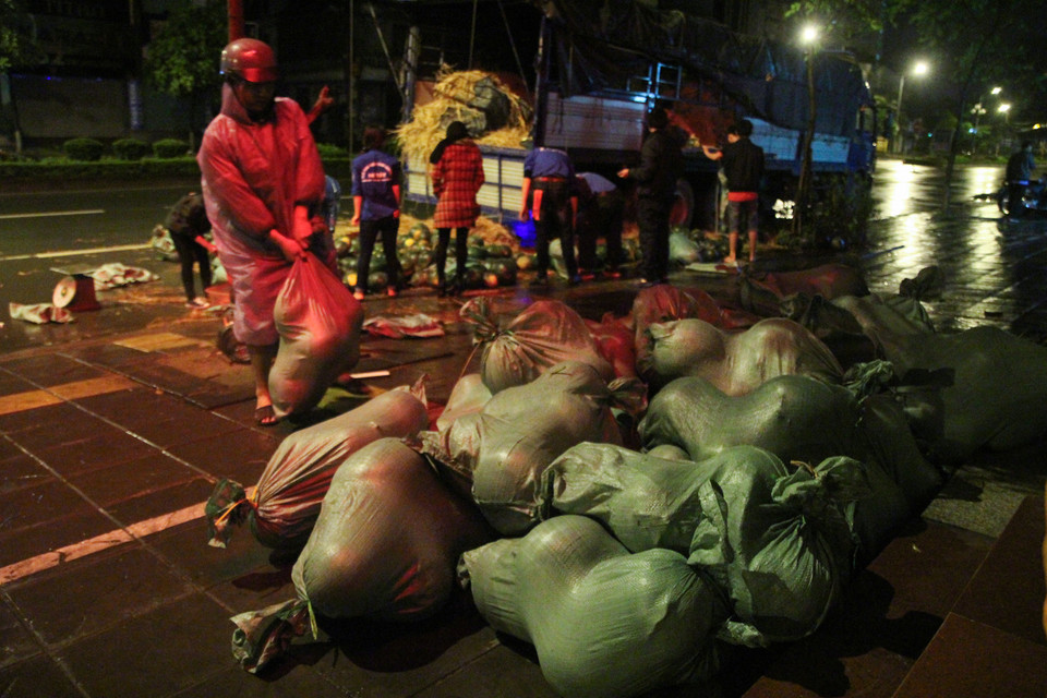 Khối lượng dưa rất lớn mà tình nguyện viên lại ít nên các bạn vận chuyển rất vất vả. (Ảnh: PV/Vietnam+)