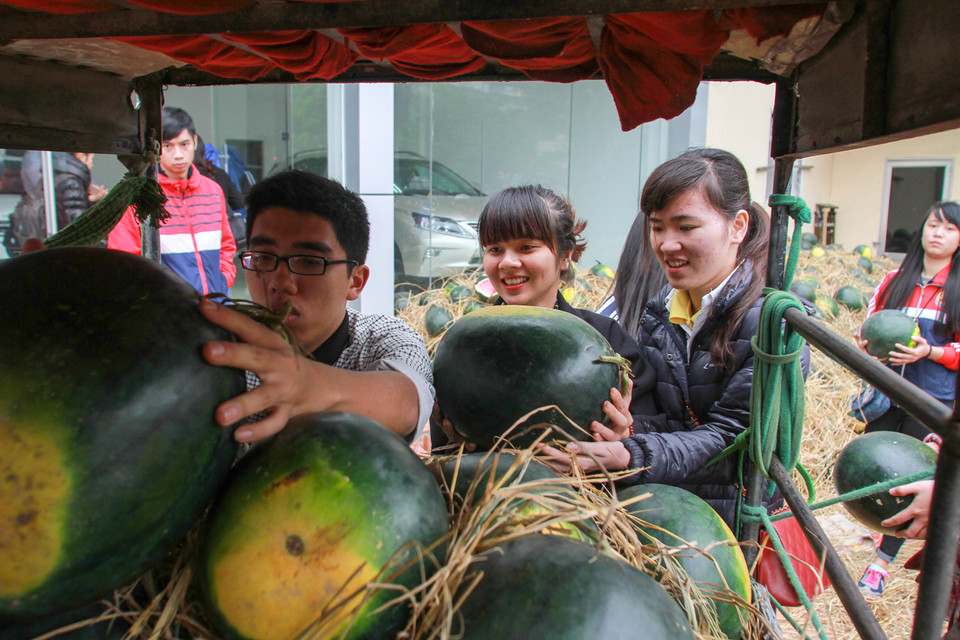 Từ Câu lạc bộ này, nhiều Câu lạc bộ khác cũng đã liên kết thành một phong trào rộng khắp ở Quảng Nam và nhiều vùng khác với lực lượng nòng cốt là sinh viên. (Ảnh: PV/Vietnam+)