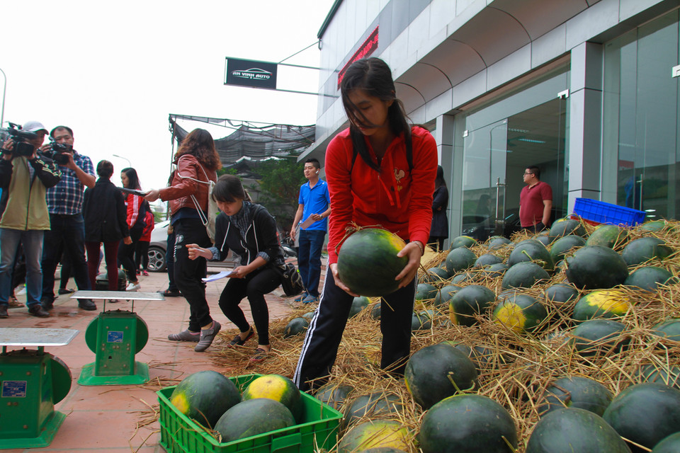 Đúng 7 giờ sáng, tất cả dưa hấu đã được vận chuyển đến các điểm bán trong thành phố. Chị Thảo- Phó bí thư Đoàn Khối các cơ quan Hà Nội phụ trách chương trình cho biết, toàn bộ số dưa đã được bán buôn hết. Những ngày tới sẽ có thêm vài chuyến xe dưa được chở ra Hà Nội. (Ảnh: PV/Vietnam+)