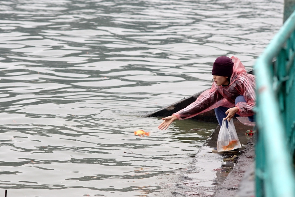 Trời mưa phùn từ sớm nên nhiều người đã phải mặc áo mưa để đi thả cá. (Ảnh: Thành Nguyễn-Hoàng Long/Vietnam+)