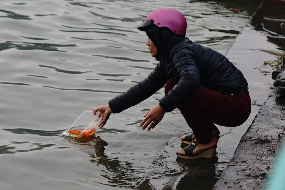 Nhiều người dân ý thức đã dùng hộp nhựa đi thả cả rồi mang về. (Ảnh: Thành Nguyễn-Hoàng Long/Vietnam+)