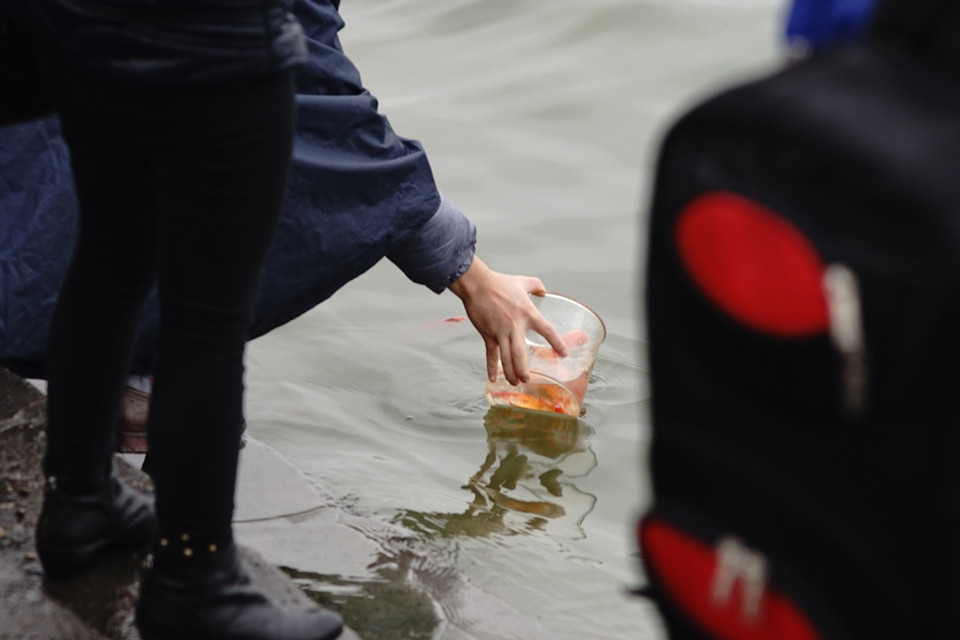 Nhiều người dân ý thức đã dùng hộp nhựa đi thả cả rồi mang về. (Ảnh: Thành Nguyễn-Hoàng Long/Vietnam+)