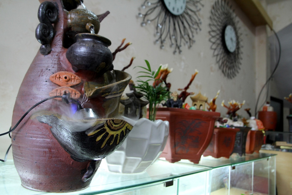 Anh Kỷ gọi là ‘Linh chi phong thủy’ vì anh thấy rằng cây sống lâu hay ngắn phụ thuộc hướng gió, độ ẩm của nhà. Nhà hướng gió tốt cây mọc tốt hoặc nhà thoáng quá cây sẽ chết, độ ẩm quá cây bị mốc. (Ảnh: Minh Sơn/Vietnam+)