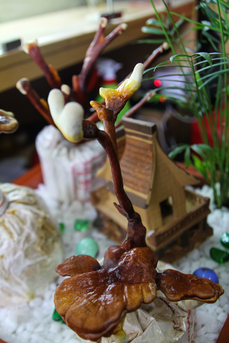 Hiện tại anh đang trồng loại nấm linh chi sừng hươu và nấm linh chi đỏ, để tạo được dáng cho một cây phải mất từ 3-6 tháng. Muốn cây tươi tốt, tạo thế đẹp phải dùng công thức đặc biệt. (Ảnh: Minh Sơn/Vietnam+)