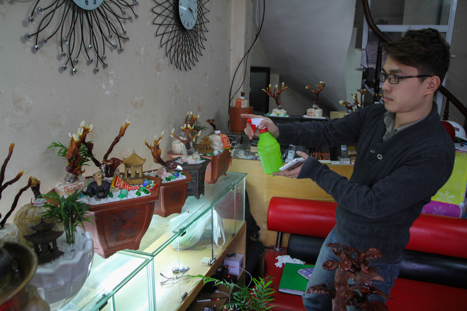 Chăm sóc cây khá đơn giản, chỉ cần dùng bình xịt phun sương ngày 3 lần hoặc dùng máy tạo sương tạo độ ẩm cho cây. (Ảnh: Minh Sơn/Vietnam+)