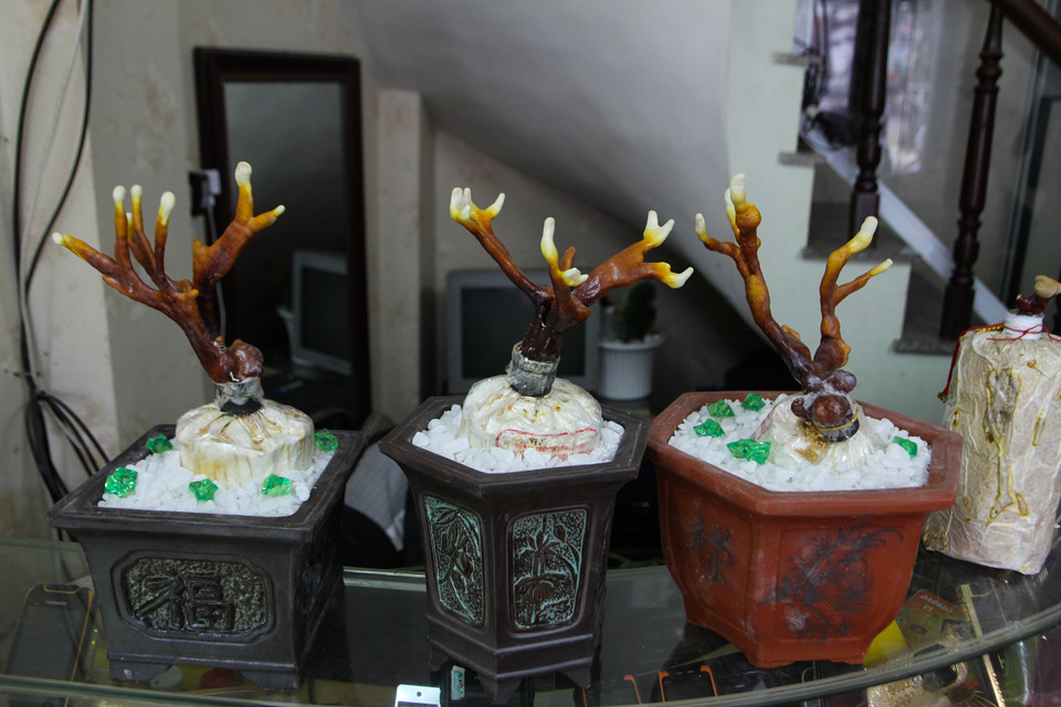 Vào dịp tết Ất Mùi, số lượng người mua tăng cao so với ngày thường mặc dù giá thành của cây khá đắt đỏ, trung bình từ 1,5 triệu-4 triệu/cây, cá biệt một số cây lên đến 12 triệu. Anh Kỷ cho biết, giá thành cây phụ thuộc vào số lượng cây và kĩ thuật cắt ghép, chăm bón. (Ảnh: Minh Sơn/Vietnam+)