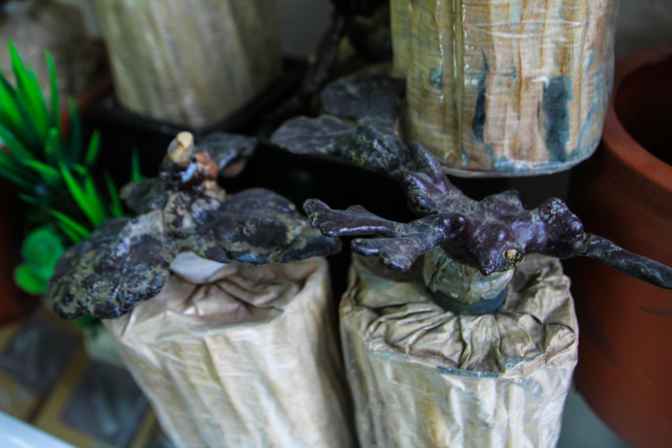 Linh chi khô rẻ hơn linh chi tươi nhưng ít người quan tâm hơn. Anh Kỷ cho biết loại này anh làm vui là chính và khẳng định ở Hà Nội chỉ mỗi nhà anh làm. (Ảnh: Minh Sơn/Vietnam+)