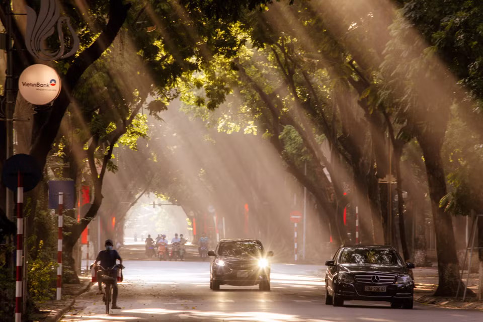 Điểm chung của những con phố cây xanh rợp bóng ở Hà Nội là đều mang vẻ đẹp trầm tĩnh và lãng mạn. (Ảnh: Minh Sơn/Vietnam+)