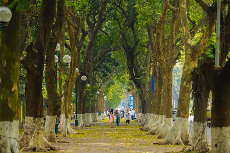 Hẳn cũng bởi thế nên nhiều người yêu, say mê Hà Nội cũng chỉ tại lỡ động lòng với những khung cảnh lãng mạn như trong phim. (Ảnh: Minh Sơn/Vietnam+)