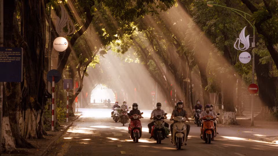 Bởi suốt cả tuyến phố dài hơn cây số này đang bước vào một trong những mùa đẹp nhất trong năm - mùa của nắng. (Ảnh: Minh Sơn/Vietnam+)