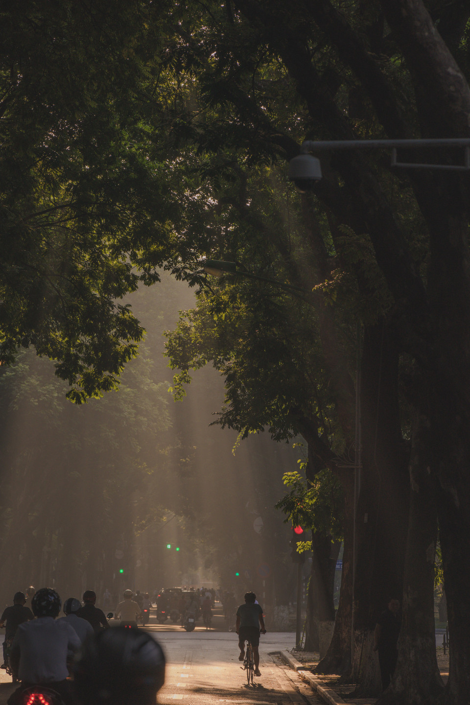 Đi dọc những con đường này vào mùa Thu, mỗi người sẽ có những cảm xúc rất riêng về Hà Nội. (Ảnh: Minh Sơn/Vietnam+)