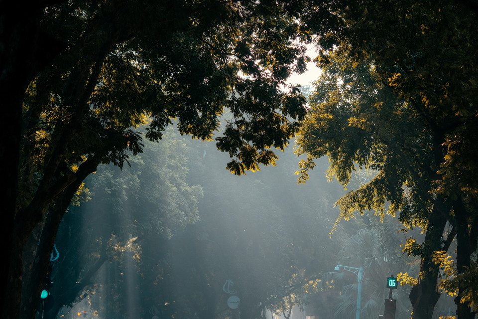 Đấy cũng là lúc con đường này hoà cùng nhịp sống sôi động của Thủ đô. (Ảnh: Minh Sơn/Vietnam+)