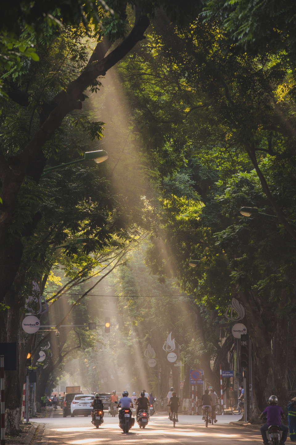 Có thể nói, hình ảnh con đường ngập nắng là một nét đẹp độc đáo của Thủ đô những ngày vào Thu. (Ảnh: Minh Sơn/Vietnam+)