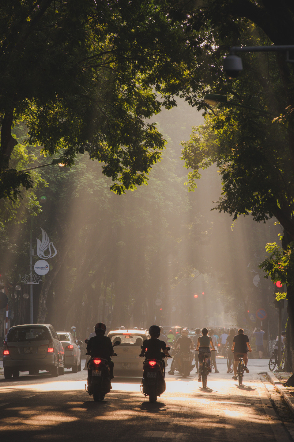 Phan Đình Phùng mùa nào cũng đẹp, nhưng để gây xuyến xao nhất ắt hẳn phải là mùa Thu. (Ảnh: Minh Sơn/Vietnam+)