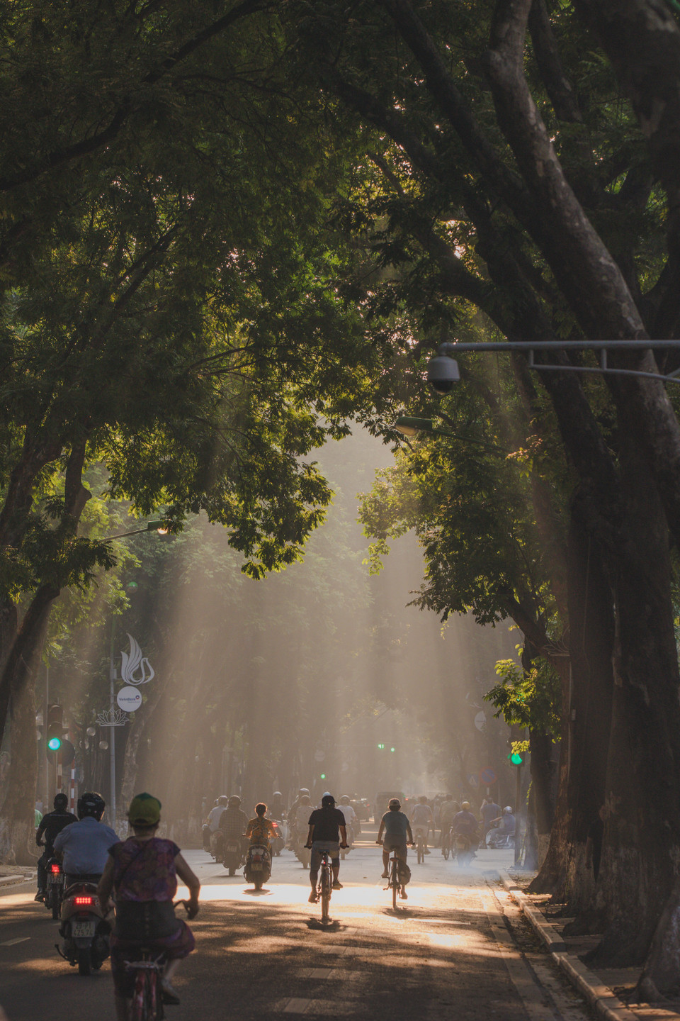 Mỗi lần đi qua đây, bất giác mọi người đều đi chậm lại để ngắm nhìn một khung cảnh tuyệt đẹp mà không phải lúc nào cũng có cơ hội thưởng thức. (Ảnh: Minh Sơn/Vietnam+)