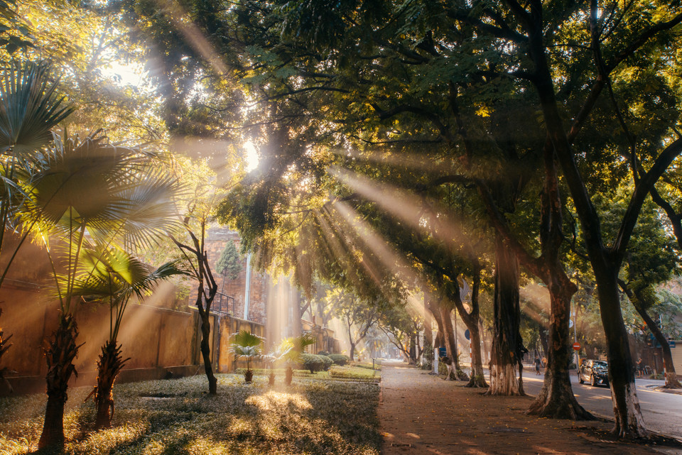 Hà Nội đẹp nhất, lãng mạn nhất là vào mùa thu. Thu Hà Nội gây thương nhớ cũng bởi những khung cảnh một sớm tinh mơ, cả một con phố chìm trong những vệt nắng xuyên xuống mặt đường. (Ảnh: Minh Sơn/Vietnam+)
