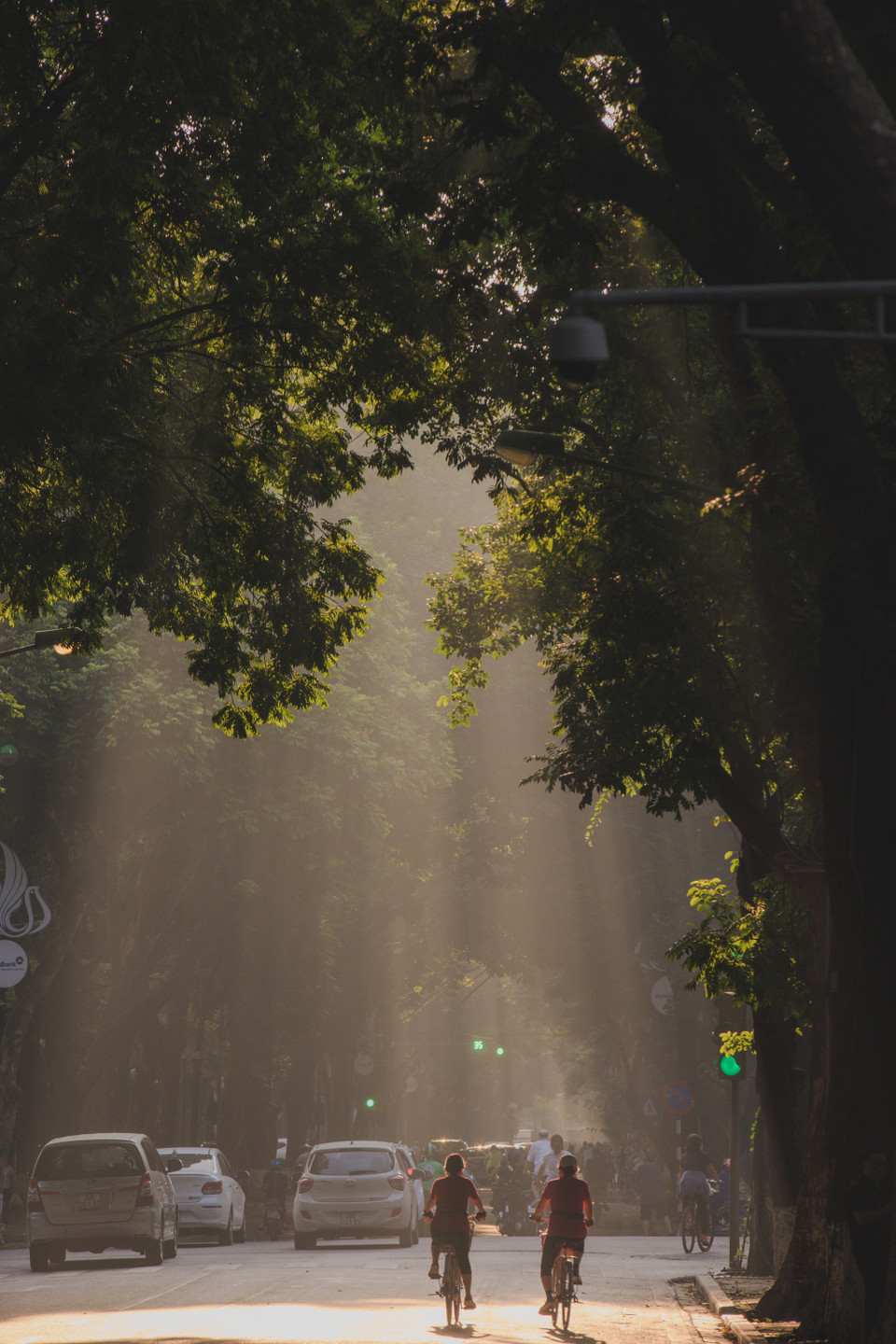 Khác hẳn với mùa cây sấu thay lá vào dịp tháng Tư, tháng Năm, con phố đẹp nhất Thủ đô lại khoác lên mình một vẻ trầm mặc hơn, lãng mạn hơn khi vào Thu. (Ảnh: Minh Sơn/Vietnam+)