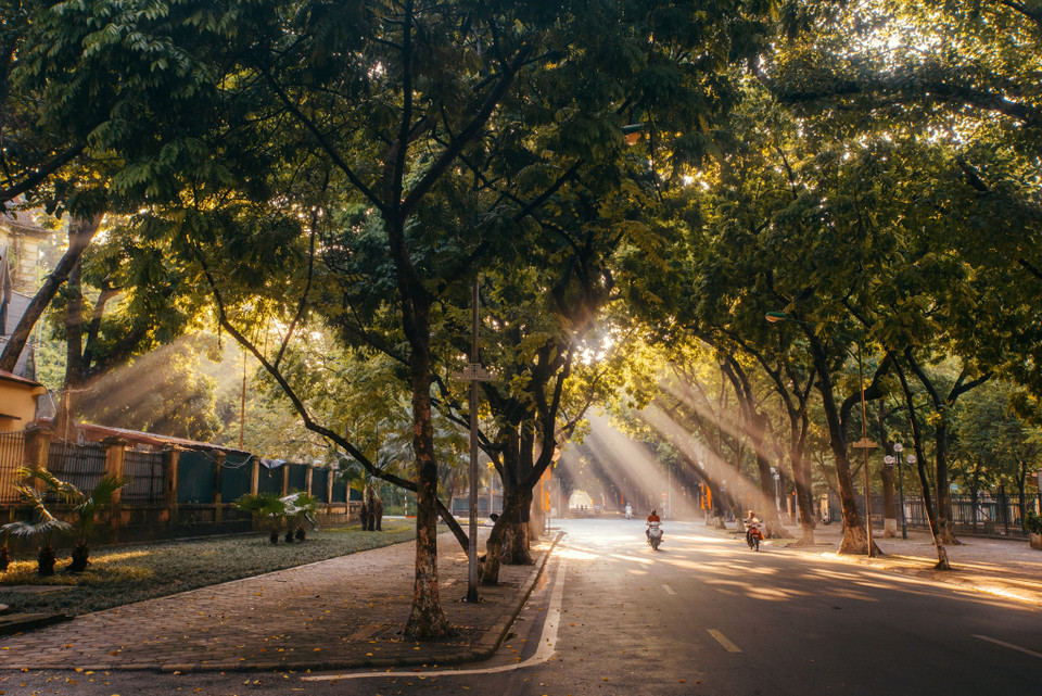 Đường Phan Đình Phùng là con đường đường có vỉa hè rộng nhất ở Hà Nội với những hàng cây cổ thụ với tán lá rộng, cao. (Ảnh: Minh Sơn/Vietnam+)