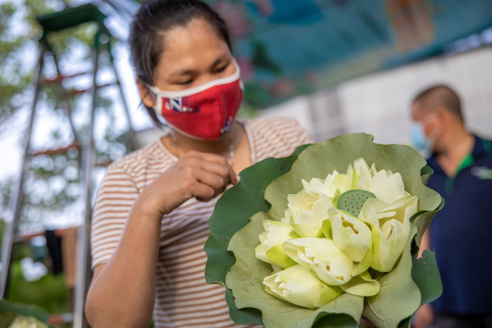 Hoa sen được bày bắn khắp nơi và là một trong những loại hoa đặc trưng của mùa hè. (Ảnh: Minh Sơn/Vietnam+)