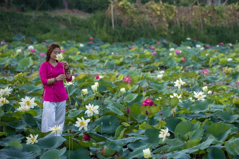 Nhiều người dân Thủ đô cũng tranh thủ đến đây ngắm và chụp ảnh tại địa điểm có một không hai này. (Ảnh: Minh Sơn/Vietnam+)