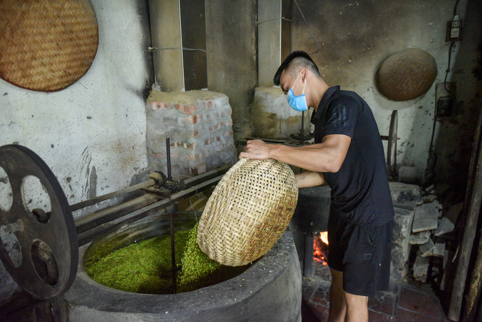 Các công đoạn làm cốm khá cầu kỳ, với nguyên liệu làm cốm là các loại lúa nếp lương phượng, lúa nếp thơm, lúa nếp tan, lúa nếp quýt, lúa nếp cái hoa vàng… (Ảnh: PV/Vietnam+)