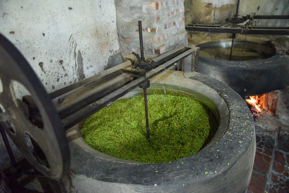 Người làm cốm phải chọn đúng thời điểm lúa đông sữa để thu hoạch, làm cốm mới dẻo và ngọt. Lúa từ khi gieo mạ đến thu hoạch khoảng 90-100 ngày, tạo vị ngọt và thơm. (Ảnh: PV/Vietnam+)