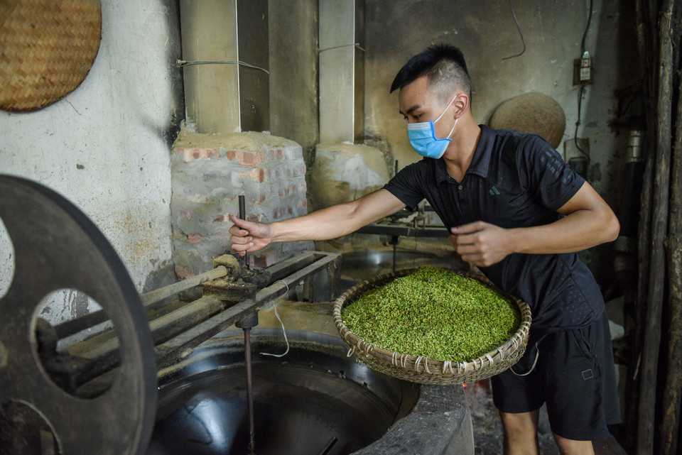 Thời điểm này chính là giai đoạn cao điểm sản xuất vụ mùa cốm lớn nhất trong năm. (Ảnh: PV/Vietnam+)