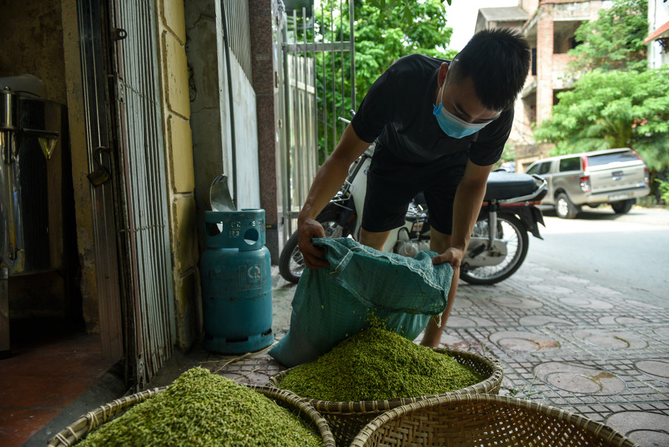 Mỗi năm, làng có 2 vụ chiêm và mùa, vụ mùa trong tiết trời vào Thu từ rằm tháng Bảy âm lịch đến hết tháng Chín âm lịch. (Ảnh: PV/Vietnam+)