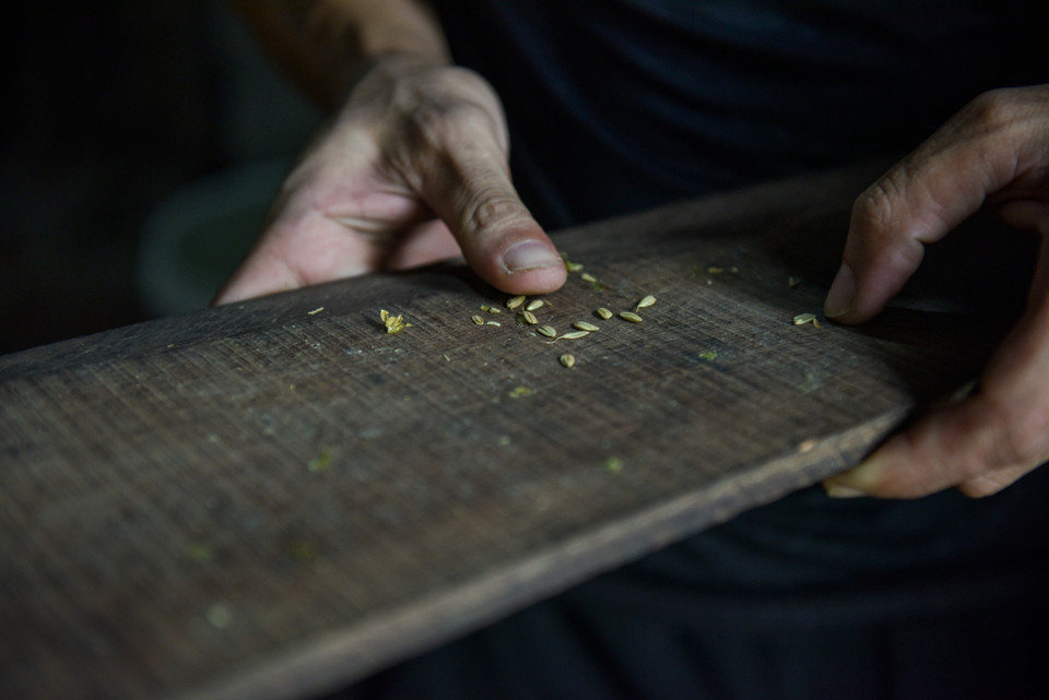 Trong suốt quá trình rang, người dân phải canh lửa điều chỉnh liên tục lửa để hạt thóc vừa đẹp, vừa không bị sống, không bị vụn. Ước lượng bằng cách miết tay hạt lúa mềm, dẻo là đủ độ. (Ảnh: PV/Vietnam+)