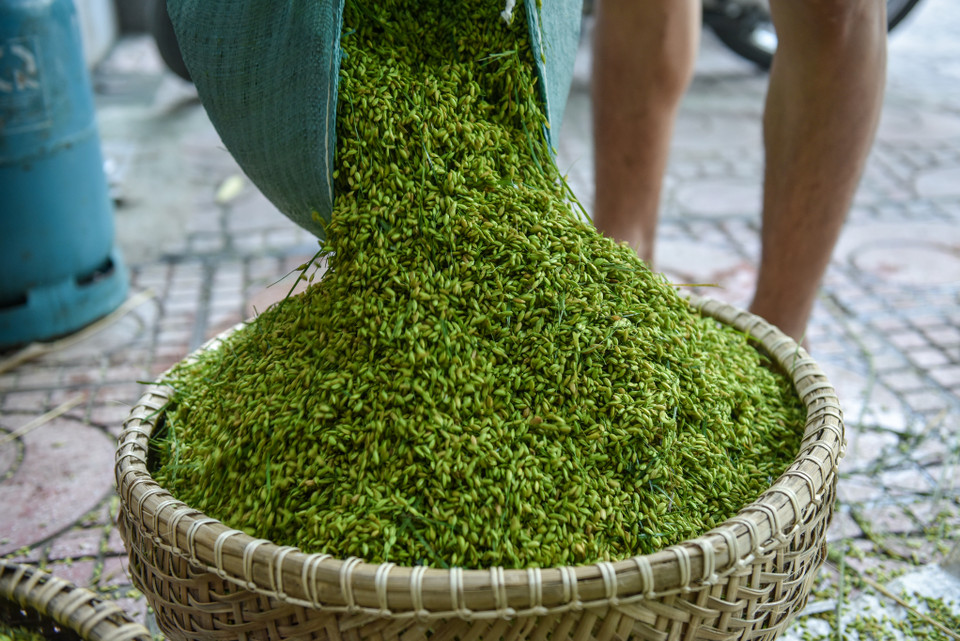 Nghề làm cốm ở làng Mễ Trì đến nay có bề dày lịch sử hơn một thế kỷ. Nghề cốm Mễ Trì cũng đã được đưa vào Danh mục 17 Di sản văn hóa phi vật thể quốc gia theo quyết định của Bộ Văn hóa, Thể thao và Du lịch năm 2019. (Ảnh: PV/Vietnam+)