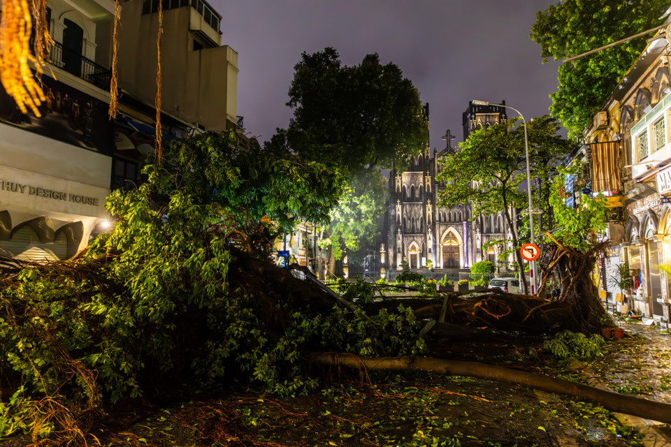 Theo thống kê sơ bộ, tính đến 19 giờ ngày 7/9, địa bàn Hà Nội có 1 người thiệt mạng, 3 người bị thương. Toàn thành phố có 2.455 cây đổ, 273 cành gãy, 6 xe máy, 13 ôtô bị hư hỏng và 242 bức tường bao bị đổ. (Ảnh: Minh Sơn/Vietnam+)