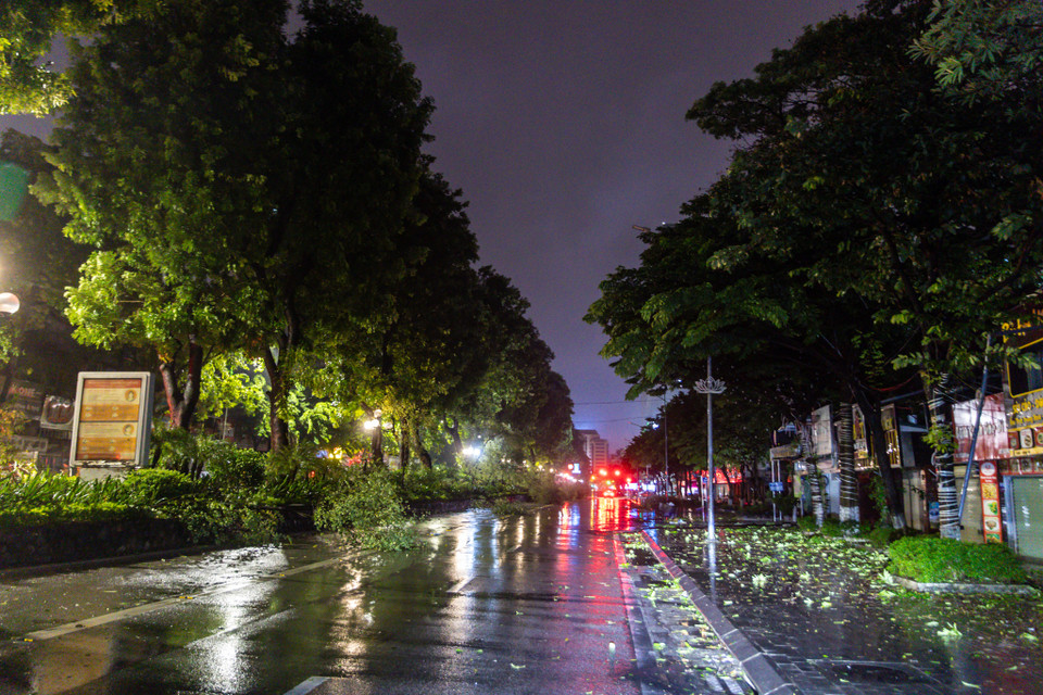 Cơn bão Yagi, với sức gió mạnh cấp 11-12 giật cấp 13-14, kèm theo mưa lớn kéo dài, đã tàn phá diện rộng khu vực nội đô và ngoại thành Hà Nội. Các quận trung tâm như Hoàn Kiếm, Ba Đình, Đống Đa và Cầu Giấy bị ảnh hưởng nặng nề khi hàng loạt cây xanh trên các tuyến phố bị bật gốc, đổ rạp xuống đường. (Ảnh: Minh Sơn/Vietnam+)