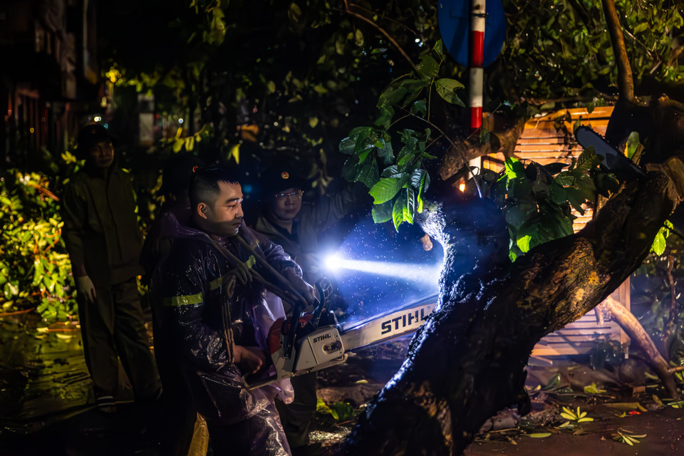 Tuy nhiên, khối lượng công việc rất lớn vì cây đổ hàng loạt ảnh hưởng đến giao thông. (Ảnh: Minh Sơn/Vietnam+)