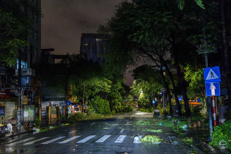 Các cây cổ thụ lâu năm, vốn đã gắn liền với hình ảnh Thủ đô, không thể chống chọi lại sức mạnh của cơn bão, gãy đổ, chắn ngang đường phố. (Ảnh: Minh Sơn/Vietnam+)