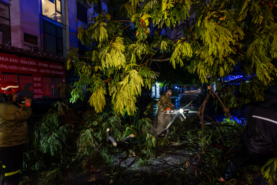Đại diện Ban chỉ huy Quân sự quận Đống Đa cho biết, lực lượng sẽ phải "trắng đêm" để xử lý các cây bị gãy đổ, bật gốc. (Ảnh: Minh Sơn/Vietnam+)
